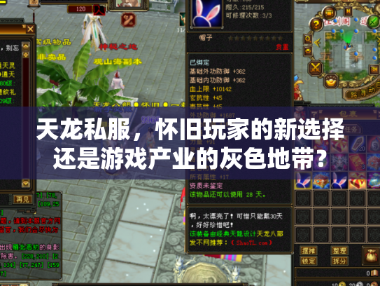 天龙私服，怀旧玩家的新选择还是游戏产业的灰色地带？