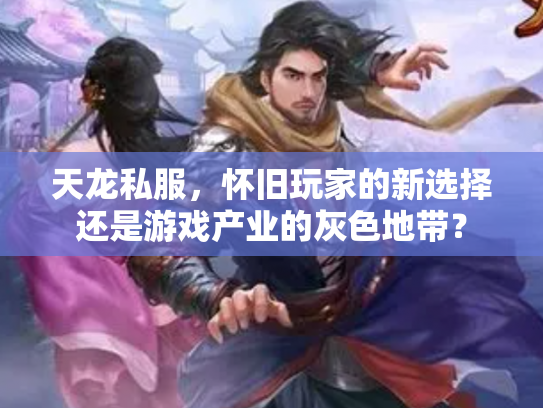 天龙私服，怀旧玩家的新选择还是游戏产业的灰色地带？