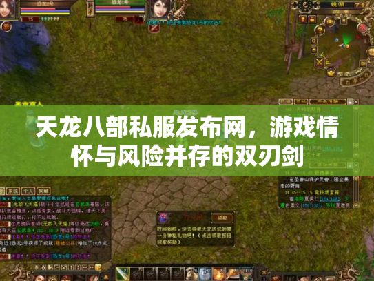 天龙八部私服发布网，游戏情怀与风险并存的双刃剑