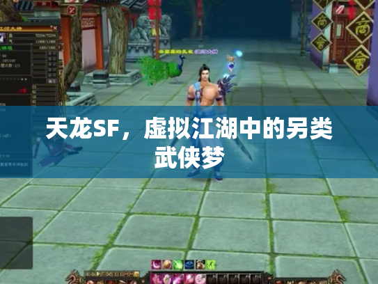 天龙SF，虚拟江湖中的另类武侠梦