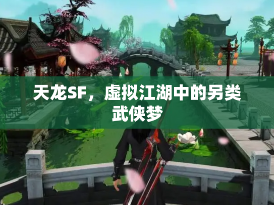 天龙SF，虚拟江湖中的另类武侠梦