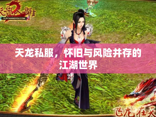 天龙私服，怀旧与风险并存的江湖世界