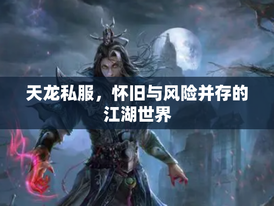 天龙私服，怀旧与风险并存的江湖世界