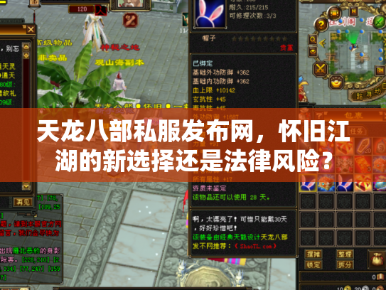 天龙八部私服发布网，怀旧江湖的新选择还是法律风险？