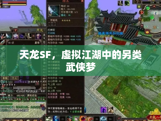 天龙SF，虚拟江湖中的另类武侠梦