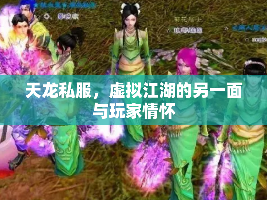 天龙私服，虚拟江湖的另一面与玩家情怀