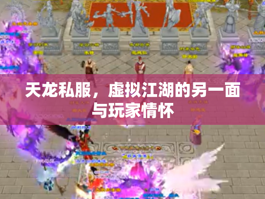 天龙私服，虚拟江湖的另一面与玩家情怀