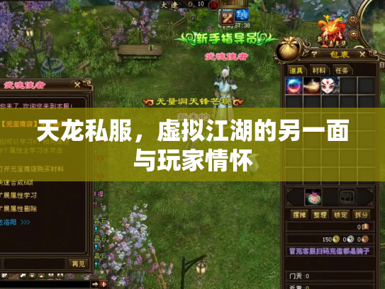 天龙私服，虚拟江湖的另一面与玩家情怀