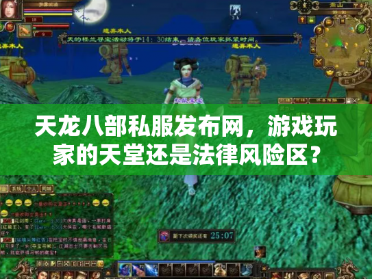 天龙八部私服发布网，游戏玩家的天堂还是法律风险区？