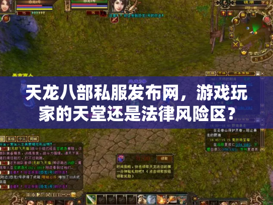 天龙八部私服发布网，游戏玩家的天堂还是法律风险区？