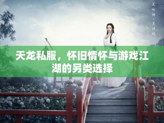 天龙私服，怀旧情怀与游戏江湖的另类选择