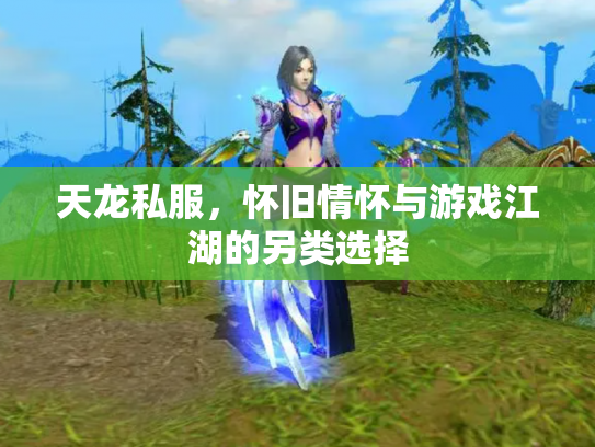 天龙私服，怀旧情怀与游戏江湖的另类选择