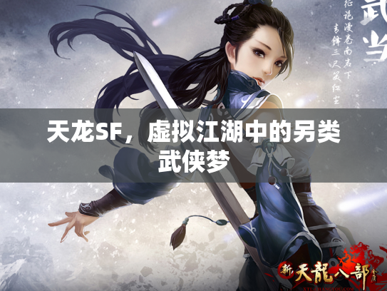 天龙SF，虚拟江湖中的另类武侠梦