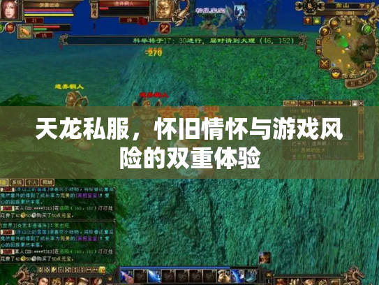 天龙私服，怀旧情怀与游戏风险的双重体验