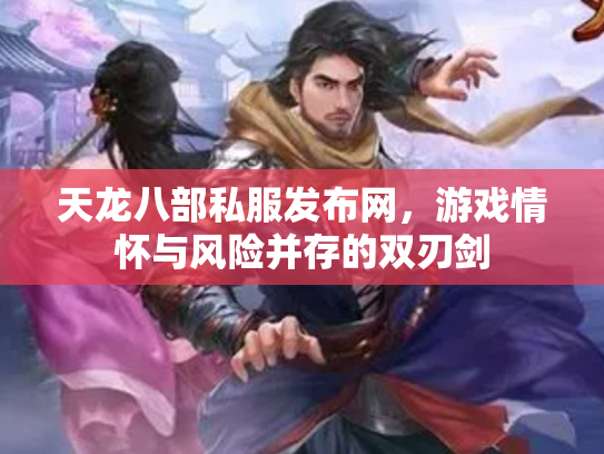 天龙八部私服发布网，游戏情怀与风险并存的双刃剑