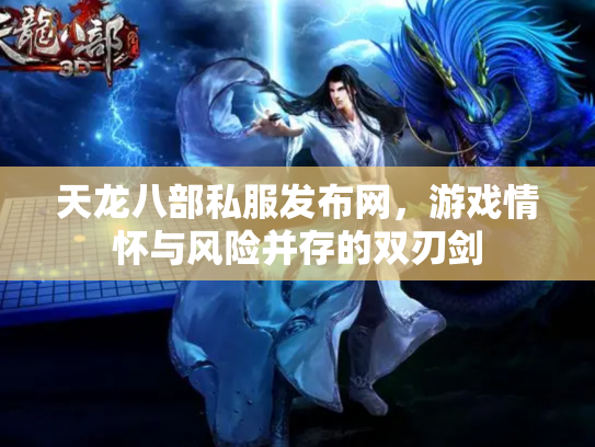天龙八部私服发布网，游戏情怀与风险并存的双刃剑