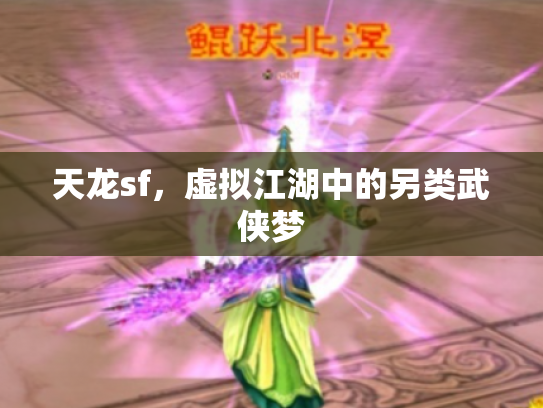 天龙sf，虚拟江湖中的另类武侠梦