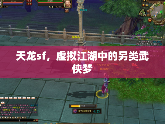 天龙sf，虚拟江湖中的另类武侠梦
