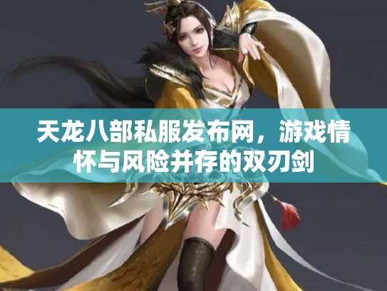 天龙八部私服发布网，游戏情怀与风险并存的双刃剑