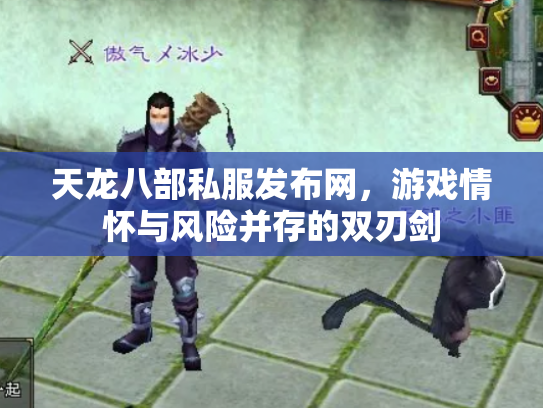 天龙八部私服发布网，游戏情怀与风险并存的双刃剑