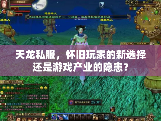 天龙私服，怀旧玩家的新选择还是游戏产业的隐患？