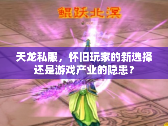 天龙私服，怀旧玩家的新选择还是游戏产业的隐患？