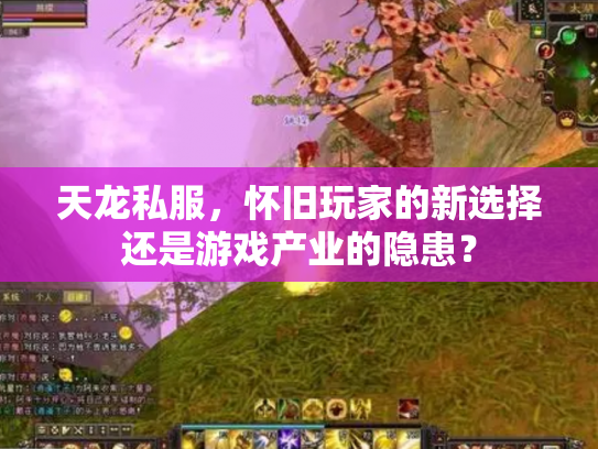 天龙私服，怀旧玩家的新选择还是游戏产业的隐患？