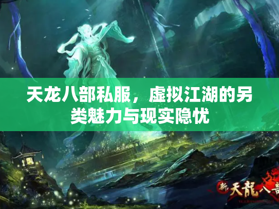 天龙八部私服，虚拟江湖的另类魅力与现实隐忧