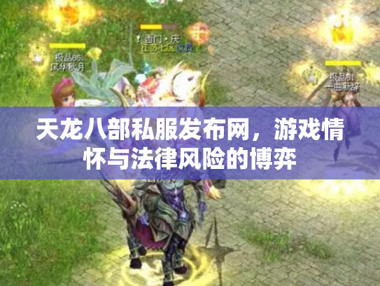 天龙八部私服发布网，游戏情怀与法律风险的博弈