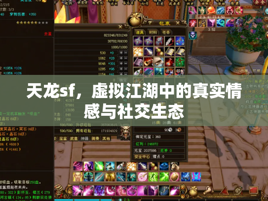 天龙sf，虚拟江湖中的真实情感与社交生态