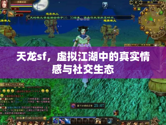 天龙sf，虚拟江湖中的真实情感与社交生态