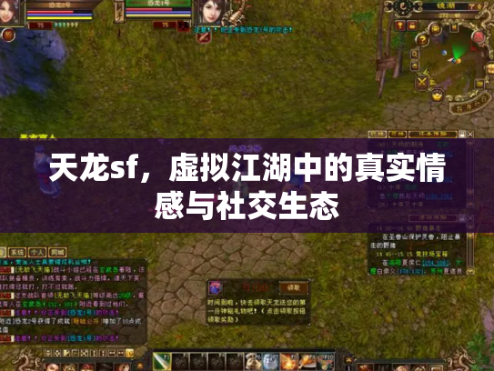 天龙sf，虚拟江湖中的真实情感与社交生态