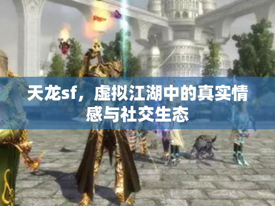 天龙sf，虚拟江湖中的真实情感与社交生态