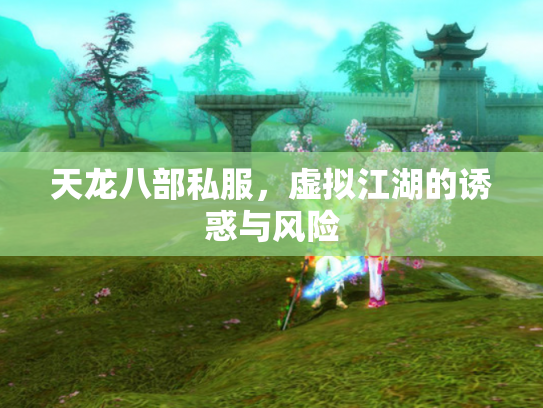 天龙八部私服，虚拟江湖的诱惑与风险