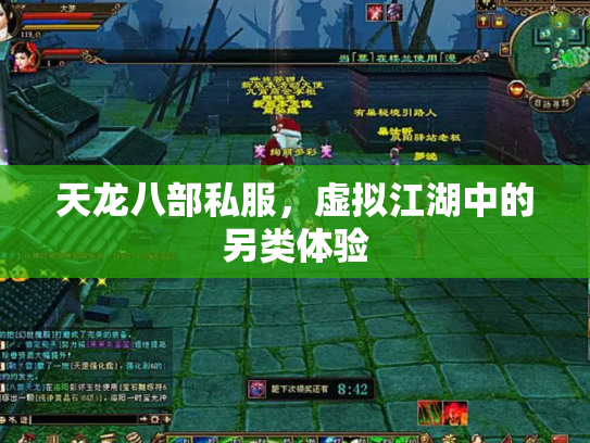 天龙八部私服，虚拟江湖中的另类体验