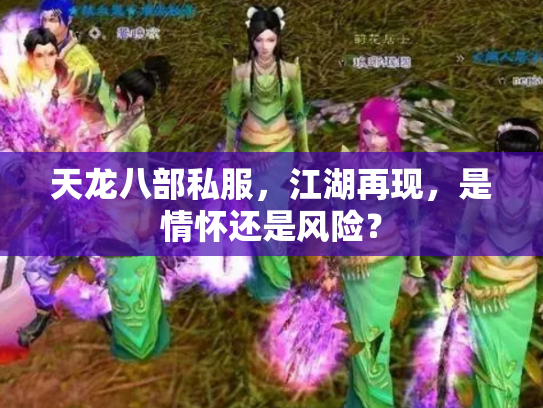天龙八部私服，江湖再现，是情怀还是风险？