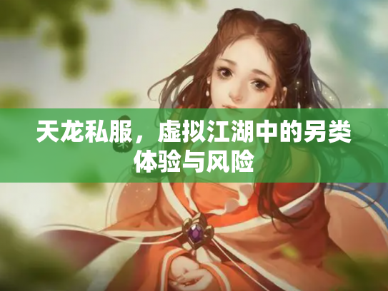 天龙私服，虚拟江湖中的另类体验与风险