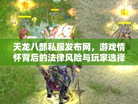天龙八部私服发布网，游戏情怀背后的法律风险与玩家选择