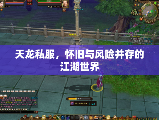 天龙私服，怀旧与风险并存的江湖世界