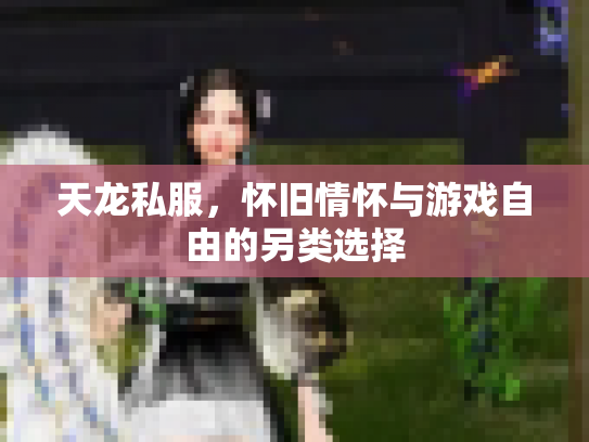 天龙私服，怀旧情怀与游戏自由的另类选择