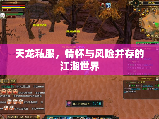 天龙私服，情怀与风险并存的江湖世界