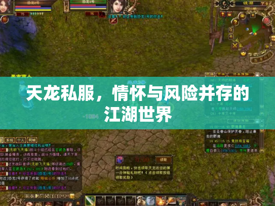 天龙私服，情怀与风险并存的江湖世界