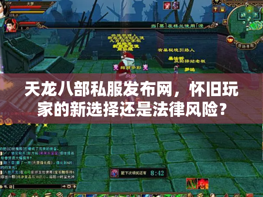天龙八部私服发布网，怀旧玩家的新选择还是法律风险？