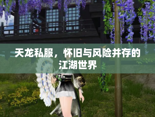 天龙私服，怀旧与风险并存的江湖世界