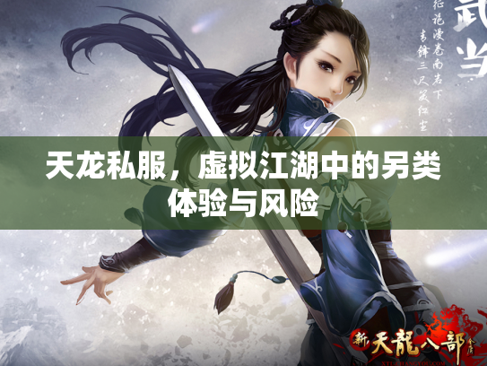 天龙私服，虚拟江湖中的另类体验与风险