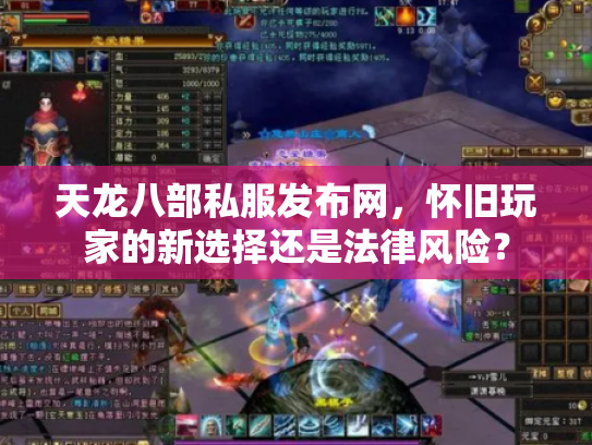 天龙八部私服发布网，怀旧玩家的新选择还是法律风险？
