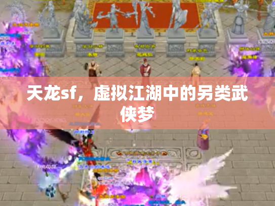 天龙sf，虚拟江湖中的另类武侠梦