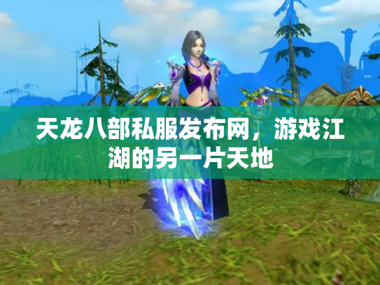 天龙八部私服发布网，游戏江湖的另一片天地