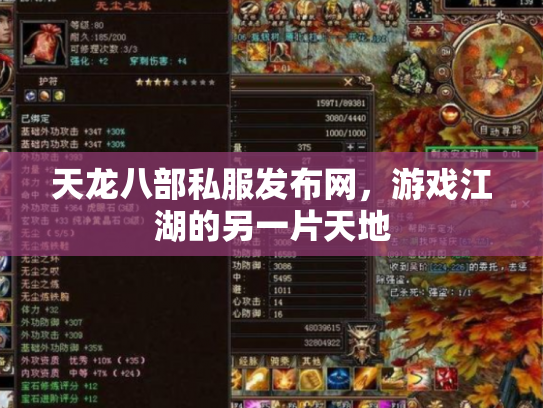 天龙八部私服发布网，游戏江湖的另一片天地
