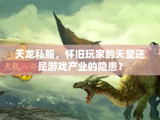 天龙私服，怀旧玩家的天堂还是游戏产业的隐患？